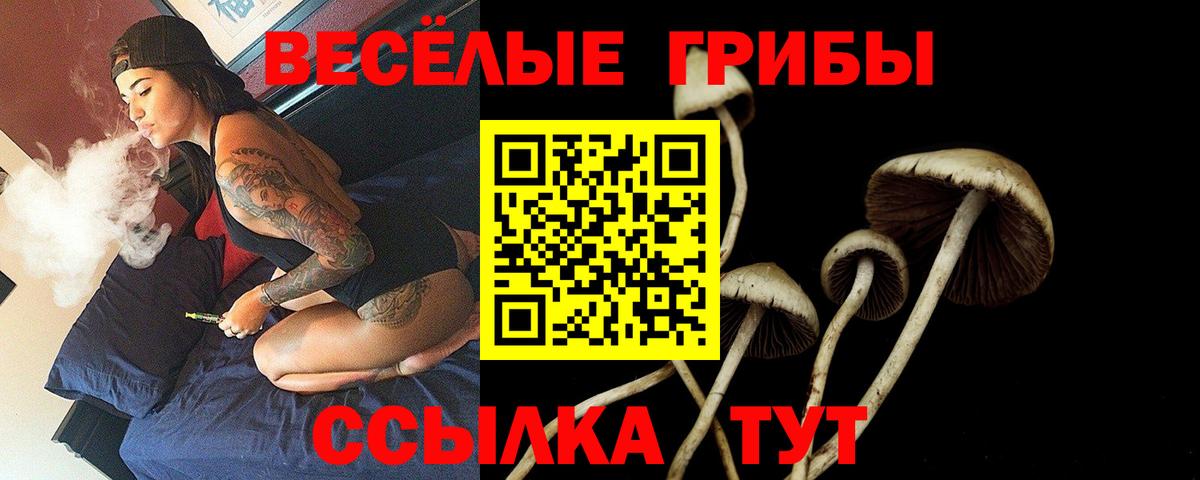 Псилоцибиновые грибы Cubensis  Галлюциногенные грибы Cubensis  Вход с VPN  Саянск 
